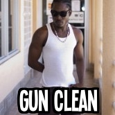 GUN CLEAN